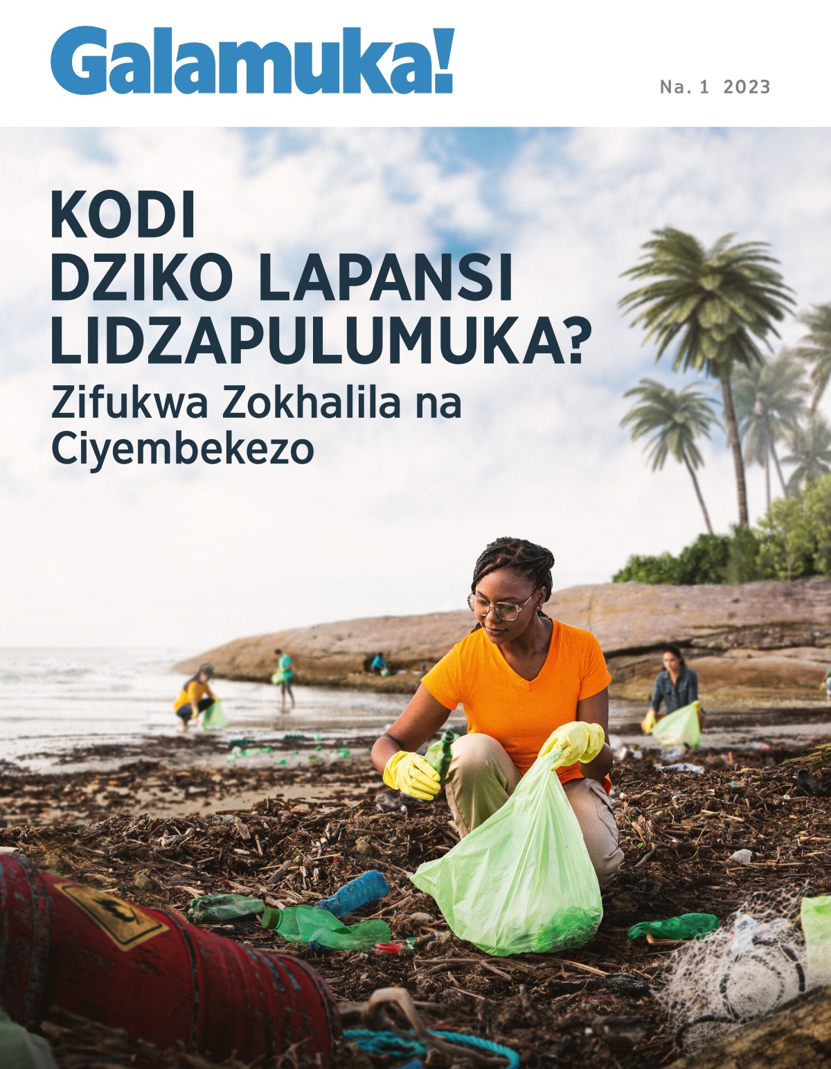 Gulu la anthu likutola zinyalala kumbali kwa kunyanja.