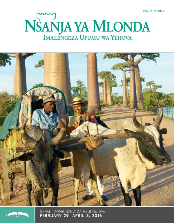 Cikuto ca Nsanja ya Mlonda ya January 15, 2016
