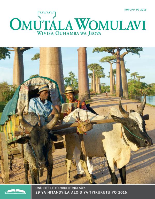 Efo Liokondye Liomutala Womulavi Wokulilongesua, 15 ya Kupupu yo 2016