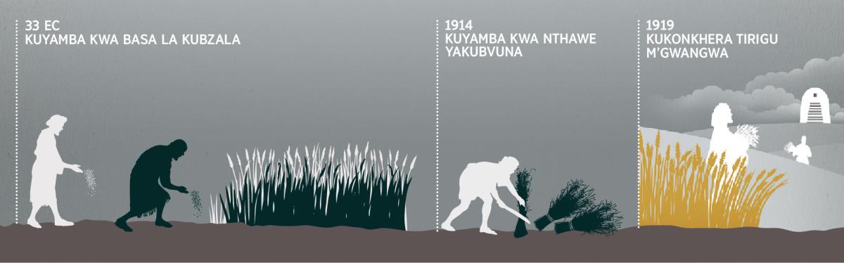 Nthawe yakubzala mbeu, yakubvuna na nthawe yakukonkhera m’gwangwa