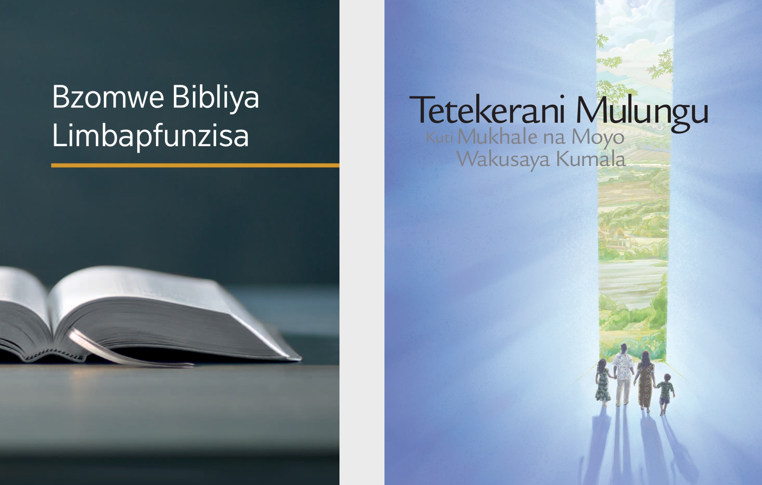 The book ‘What Can the Bible Teach Us?’ and the brochure ‘Listen to God and Live Forever.’