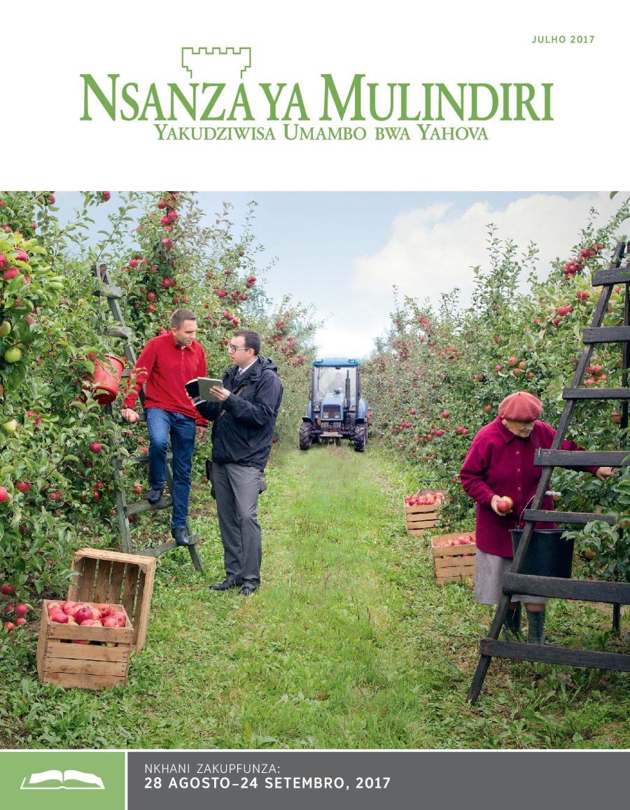 Nsanza ya Mulindiri Yakupfunza ya, Julho 2017