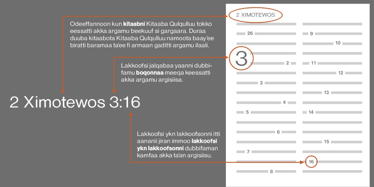 Ximotewos Lammaffaa 3:16 akka fakkeenyaatti fayyadamuudhaan caqasoota Kitaaba Qulqulluu baafachuu kan dandeenyu akkamitti akka taʼe haa ilaallu. Caqasni kennamu Kitaaba baafattu sitti hima; fakkeenyaaf 2 Ximotewos (duraa duuba Kitaabota Kitaaba Qulqulluu ilaaluuf, wantoota armaan gaditti tarreeffaman ilaali.) Lakkoofsi jalqabaa boqonnaa isa kam akka baafattu sitti hima; fakkeenyaaf 3. Lakkoofsi yookiin lakkoofsonni itti aananii jiran immoo boqonnicha keessaa lakkoofsa ykn lakkoofsota isa kamiin akka dubbistu sitti himu; fakkeenyaaf lakkoofsa16.