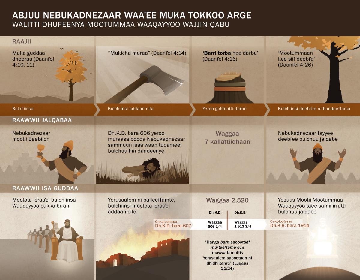 Chaartii waaʼee guyyaawwanii fi taʼeewwan abjuu Nebukadnezaar ibsu