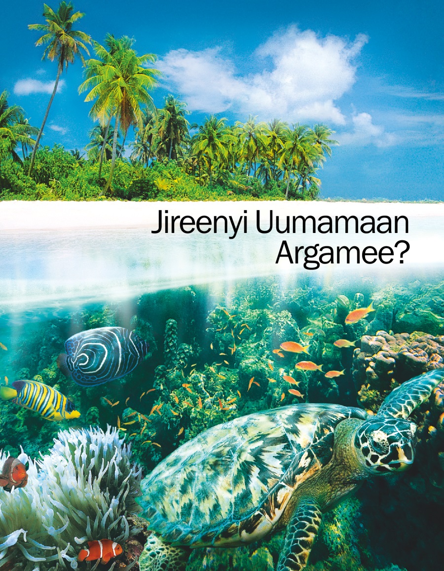 Uumamawwan galaanaa