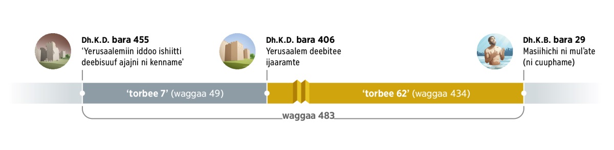 Yeroo waggaa 483 gidduu jiru argisiisu. Yeroon kun Dh.K.D. bara 455 ‘yeroo Yerusaalemiin iddoo ishiitti deebisuuf ajajni kenname’ jalqabe. Achiis torbeen 7 (waggaan 49) ni darba. Dhaloota Kiristoos Dura bara 406 Yerusaalem deebitee ijaaramte. Achiis torbeen 62 (waggaan 434) ni darba. Dhaloota Kiristoos Booda bara 29 yeroo Yesuus cuuphametti Masiihichi ni mulʼate.