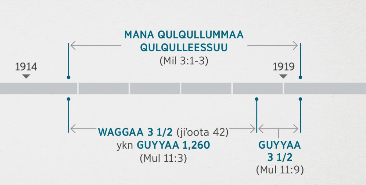 Mulʼanni 11:1, 2 taʼeewwan kana yaada Miilkiyaas 3:1-3 irra jiruu fi waaʼee mana qulqullummaa qoruu fi qulqulleessuu dubbatuu wajjin wal qabsiisa. Yeroon raajichi itti raawwatame kan argisiisu: dhuma bara 1914 hanga jalqaba bara 1919 manni qulqullummaan ni qulqulleeffame; waggaa sadii fi walakkaa ykn guyyoota 1,260 kan jedhame dhuma bara 1914 hanga jalqaba bara 1918 yeroo jiru dha; guyyaa sadiif walakkaa kan jedhame jalqaba bara 1918 hanga jalqaba 1919 yeroo jiru dha.