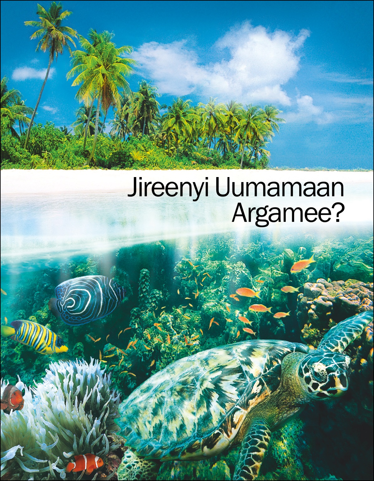 Birooshura “Jireenyi Uumamaan Argamee?”