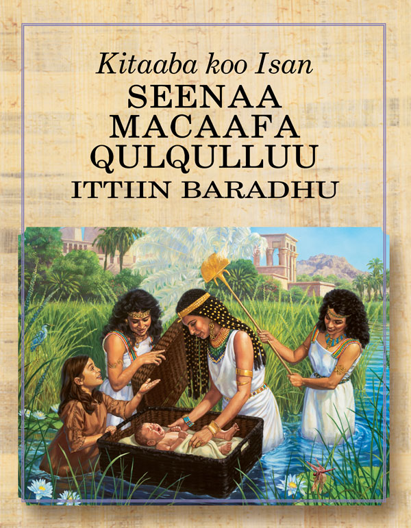 Qola Kitaaba Seenaa Macaafa Qulqulluu