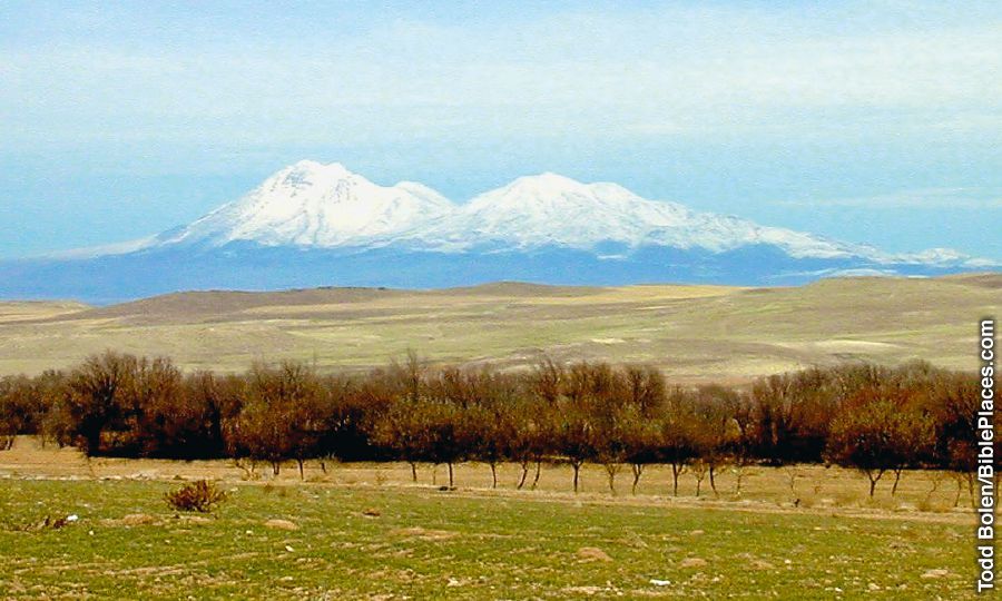 Gaarreen