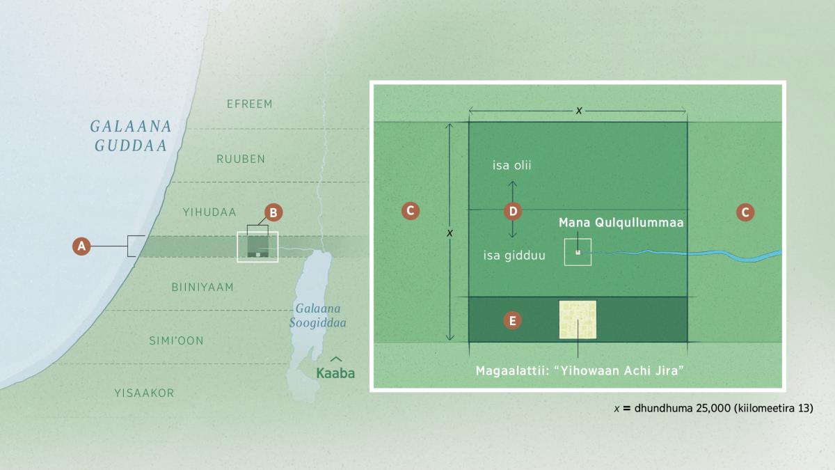 Kaartaa lafa Yihowaan adda baasee fi ‘buusii’ jedhamu argisiisu, akkasumas kaartaa kutaa lafichaa kallattii arfaniinuu wal qixa taʼee fi kaabaa hamma kibbaatti dhundhuma 25,000 (kiilomeetira 13), bahaa hamma dhihaatti immoo dhundhuma 25,000 dheeratu argisiisu. Kutaan lafaa kallattii arfaniinuu wal qixa taʼe kun ‘guutummaa buusii’ jedhama, innis kutaawwan saditti dalga kan qoqqoodame yeroo taʼu,  kutaa isa olii, kutaa isa gidduu manni qulqullummaa keessa jiruu fi kutaa gara gadii magaalaan ‘Yihowaan Achi Jira’ jedhamtu keessatti argamu kan of keessatti qabate dha.