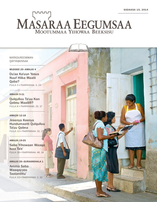 Qola Masaraa Eegumsaa Maxxansa Qayyabannaa Sadaasa 15, 2014