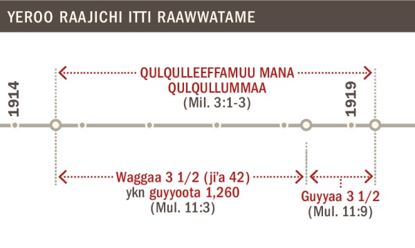 Bara 1914 hanga 1919, yeroo raajichi itti raawwatame