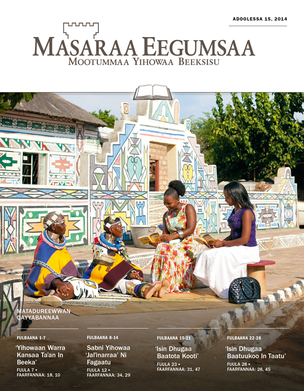 Qola Masaraa Eegumsaa Maxxansa Qayyabannaa, Adoolessa 15, 2014