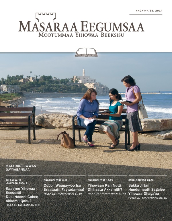 Qola Masaraa Eegumsaa Maxxansa Qayyabannaa, Hagayya 15, 2014