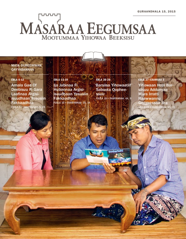 Qola Masaraa Eegumsaa Maxxansa Qayyabannaa, Guraandhala 15, 2015