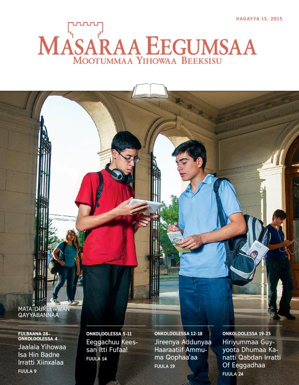 Qola Masaraa Eegumsaa Maxxansa Qayyabannaa, Hagayya 15, 2015