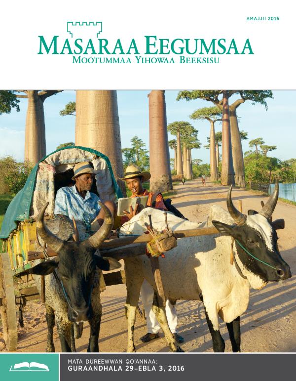 Qola Masaraa Eegumsaa Maxxansa Qoʼannaa, Amajjii 15, 2016