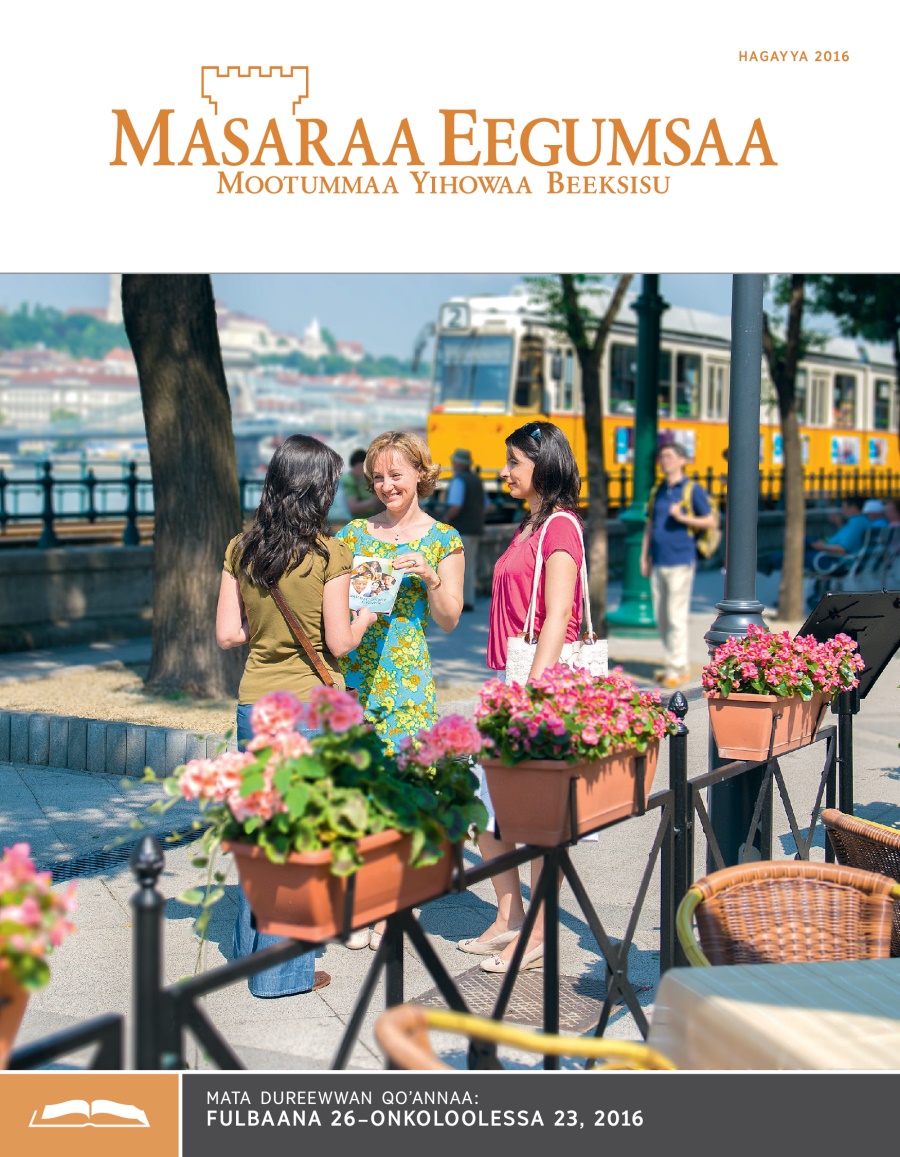 Masaraa Eegumsaa Maxxansa Qoʼannaa, Hagayya 2016