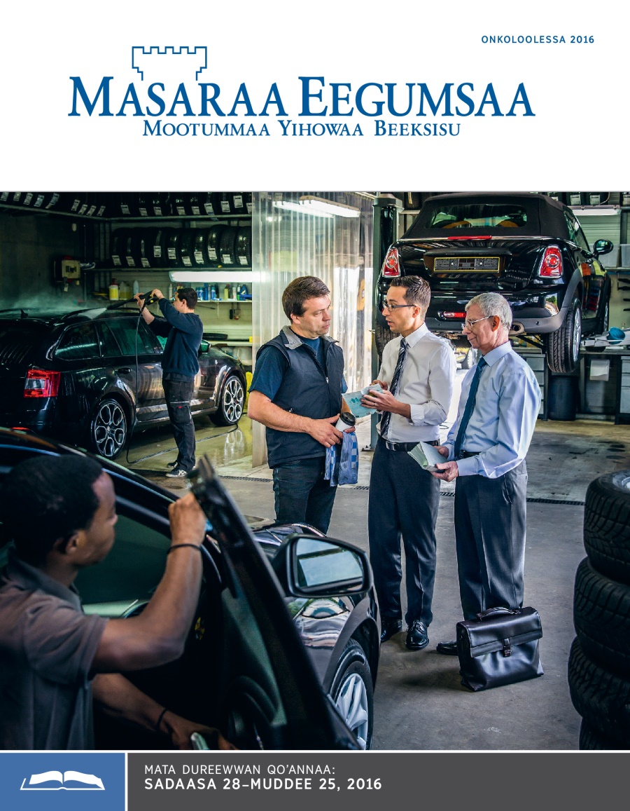 Masaraa Eegumsaa Maxxansaa Qoʼannaa, Onkoloolessa 2016