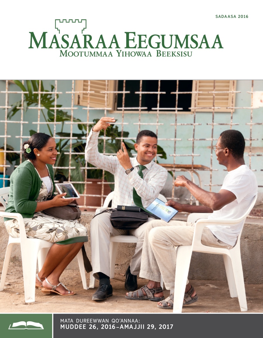 Masaraa Eegumsaa Maxxansaa Qoʼannaa, Sadaasa 2016