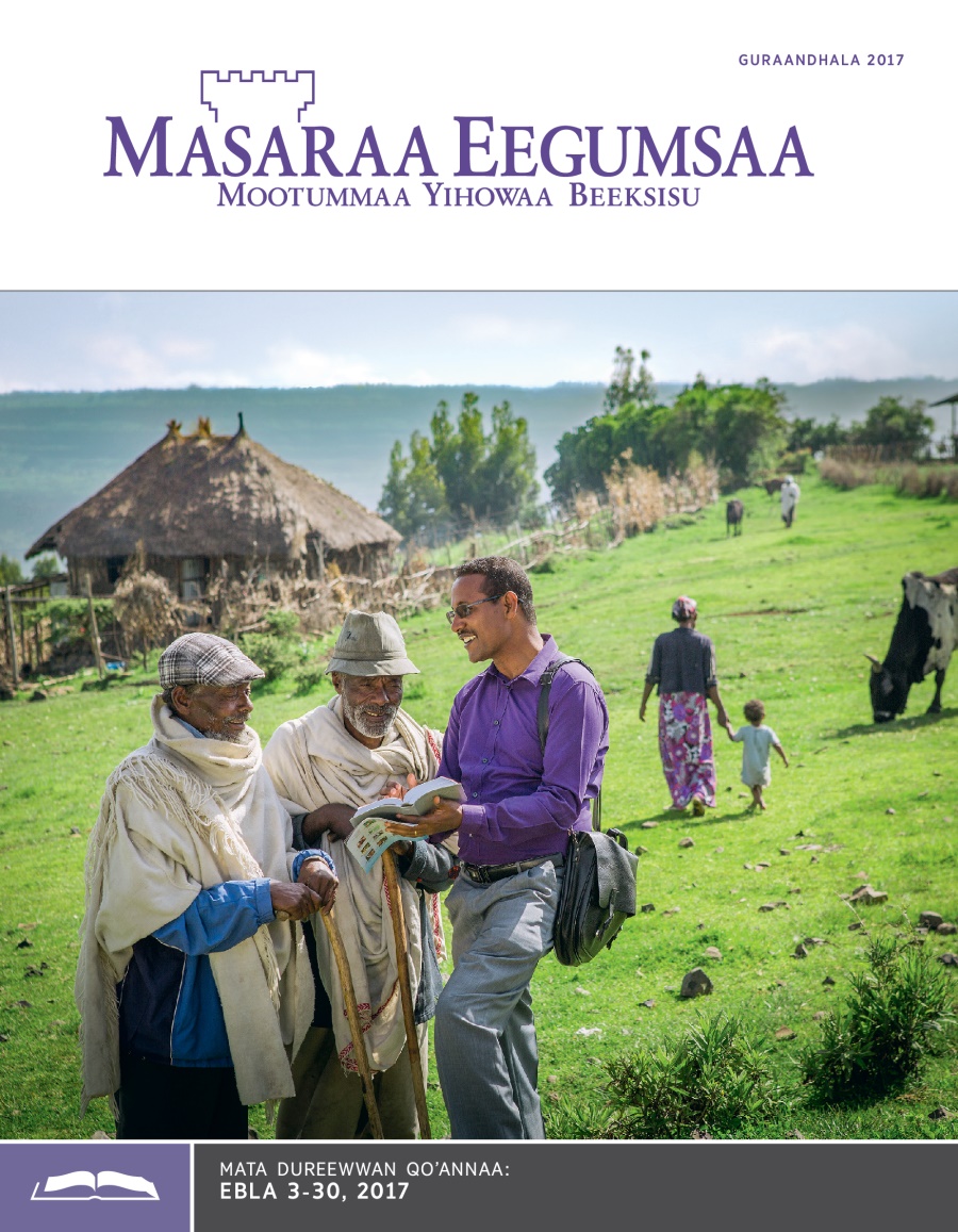 Masaraa Eegumsaa Maxxansa Qoʼannaa, Guraandhala 2017