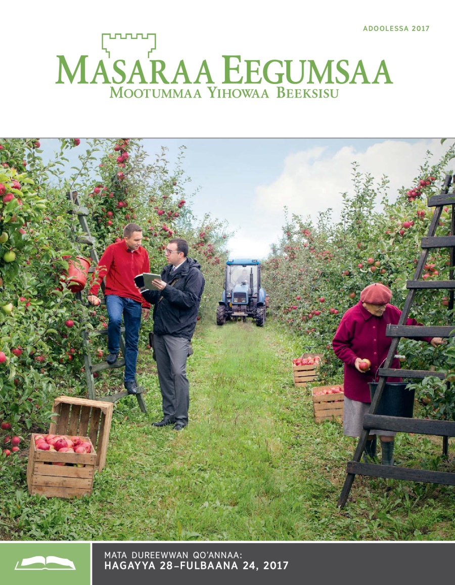 Masaraa Eegumsaa Maxxansa Qoʼannaa, Adoolessa 2017