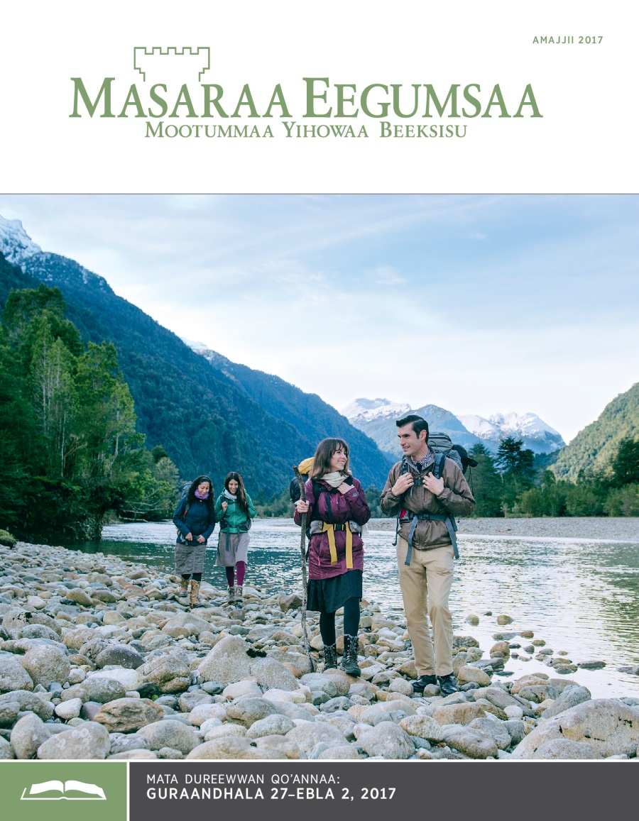 Masaraa Eegumsaa Maxxansa Qoʼannaa, Amajjii 2017