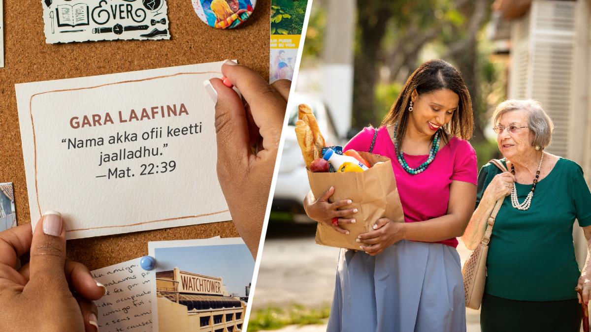 Fakkiiwwan garaa garaa: 1. Obboleettiin takka kaardii yaanni “gara laafina” jedhuu fi yaanni Maatewos 22:39 irraa fudhatame irratti barreeffame maxxanfachaa jirti. 2. Obboleettiin kun obboleettii maanguddoo korojoo wantoota nyaataaf taʼan qabate baachuu gargaaraa jirti.