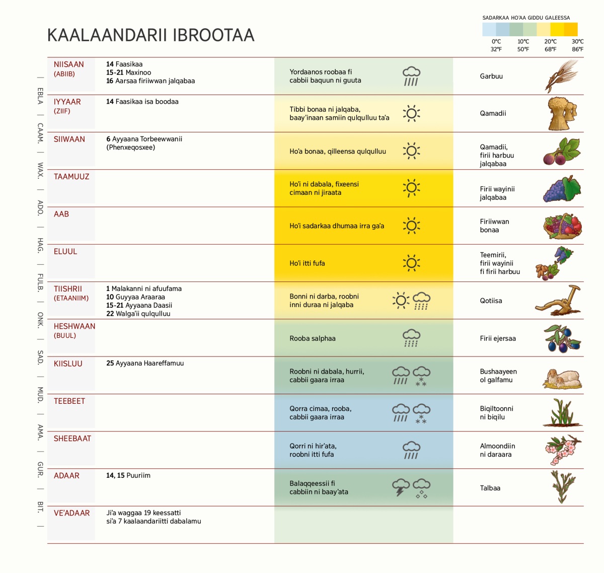 Chaartii kalaandarii Ibrootaa jiʼoota, ayyaanota, haala qilleensaa fi yeroo itti midhaan facaasanii fi haaman argisiisu.
