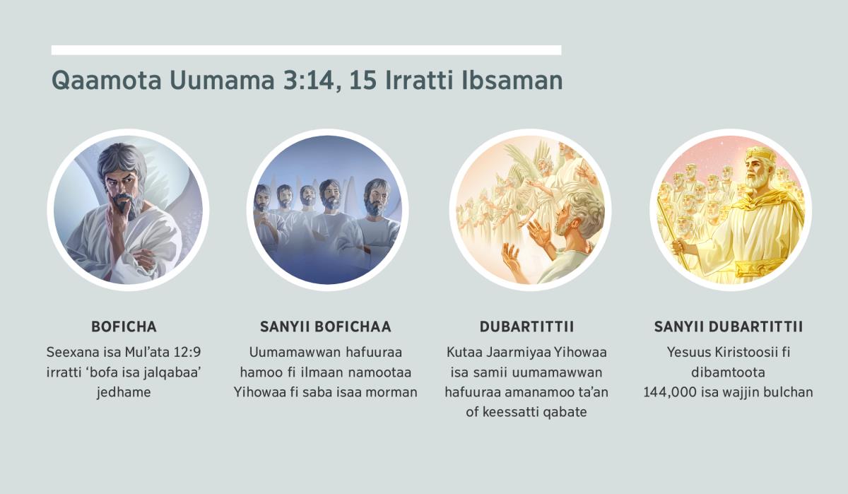 Fakkiiwwan garaa garaa: “Qaamota Uumama 3:14, 15 Irratti Ibsaman.” 1. Boficha: Seexana isa uumama hafuuraa taʼe. 2. Sanyii bofichaa: uumamawwan hafuuraa hamoo. 3. Dubartittii: uumamawwan hafuuraa amanamoo. 4. Sanyii dubartittii: Yesuus Kiristoosii fi dibamtoota isa wajjin samii keessatti bulchan. Fakkiiwwan kun keeyyata 4, 5, 7, fi 8 ibsamaniiru.