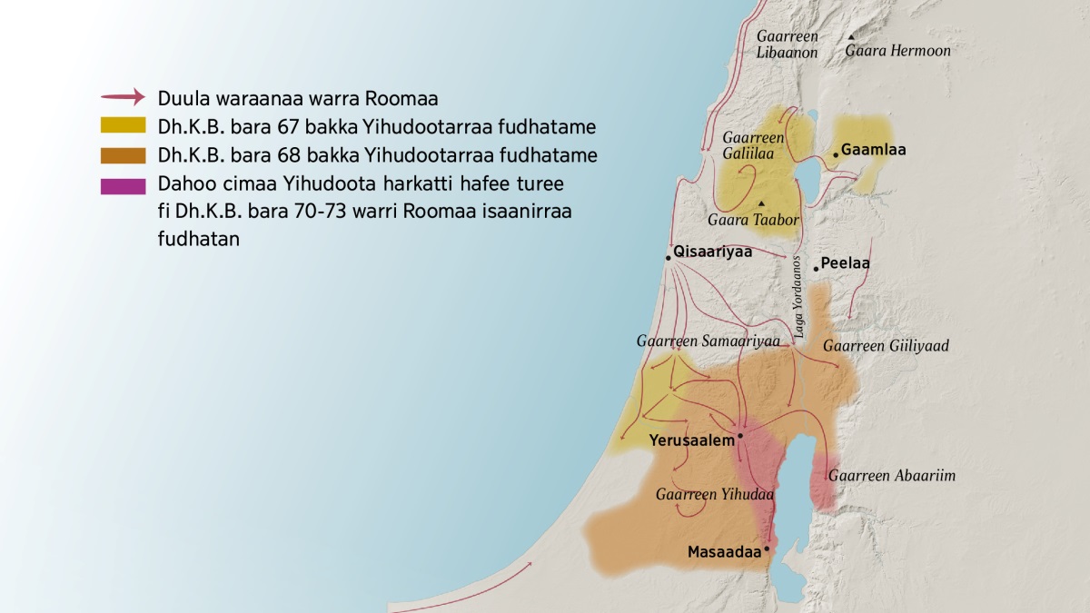 Kaartaa gaarreenii fi magaalota Isra⁠a⁠ʼel keessa jaarraa jalqabaatti turan argisiisu. Gaarreen Libaanon, Galiilaa, Samaariyaa fi Giiliyaad, akkasumas Gaarri Heermonii fi Gaarri Taabor kaaba Yerusaalemitti argamu. Magaalonni kaaba Yerusaalemitti argaman Gaamlaa, Qisaariyaa fi Peelaadha. Gaarreen Yihudaa fi Abaariim, akkasumas magaalaan Masaadaa immoo kibba Yerusaalemitti argamu. Kaartaan kun daandii warri Roomaa duula geggeessuuf itti fayyadamanii fi naannoowwan Dh.K.B. bara 67 hanga 73​tti Yihudootarraa fudhatamanis ni argisiisa.