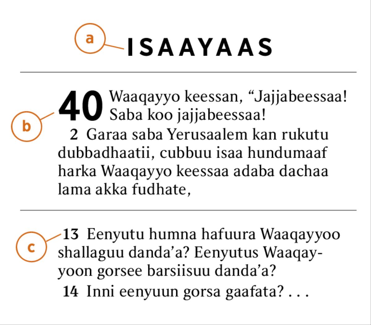 Fakkeenya akkamitti a) maqaa Kitaaba Qulqulluu, b) boqonnaa fi c) lakkoofsa isaa itti baasuun dandaʼamu argisiisu