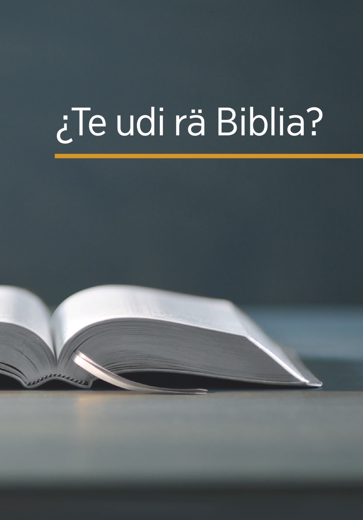 Rä mfistꞌofo ¿Te udi rä Biblia?