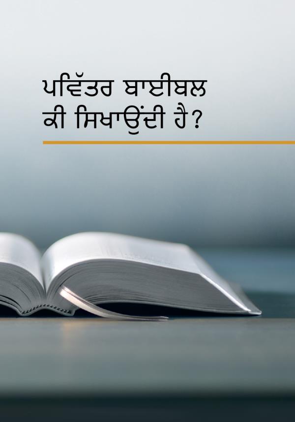 ਇਕ ਖੁੱਲ੍ਹੀ ਹੋਈ ਬਾਈਬਲ ਤੇ ਕਿਤਾਬ ਦਾ ਸਿਰਲੇਖ, “ਪਵਿੱਤਰ ਬਾਈਬਲ ਕੀ ਸਿਖਾਉਂਦੀ ਹੈ?”