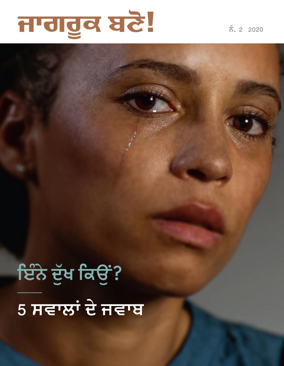 ਜਾਗਰੂਕ ਬਣੋ! ਨੰ. 2 2020 | ਇੰਨੇ ਦੁੱਖ ਕਿਉਂ? 5 ਸਵਾਲਾਂ ਦੇ ਜਵਾਬ।