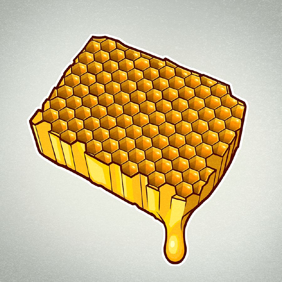 ਸ਼ਹਿਦ ਦਾ ਛੱਤਾ