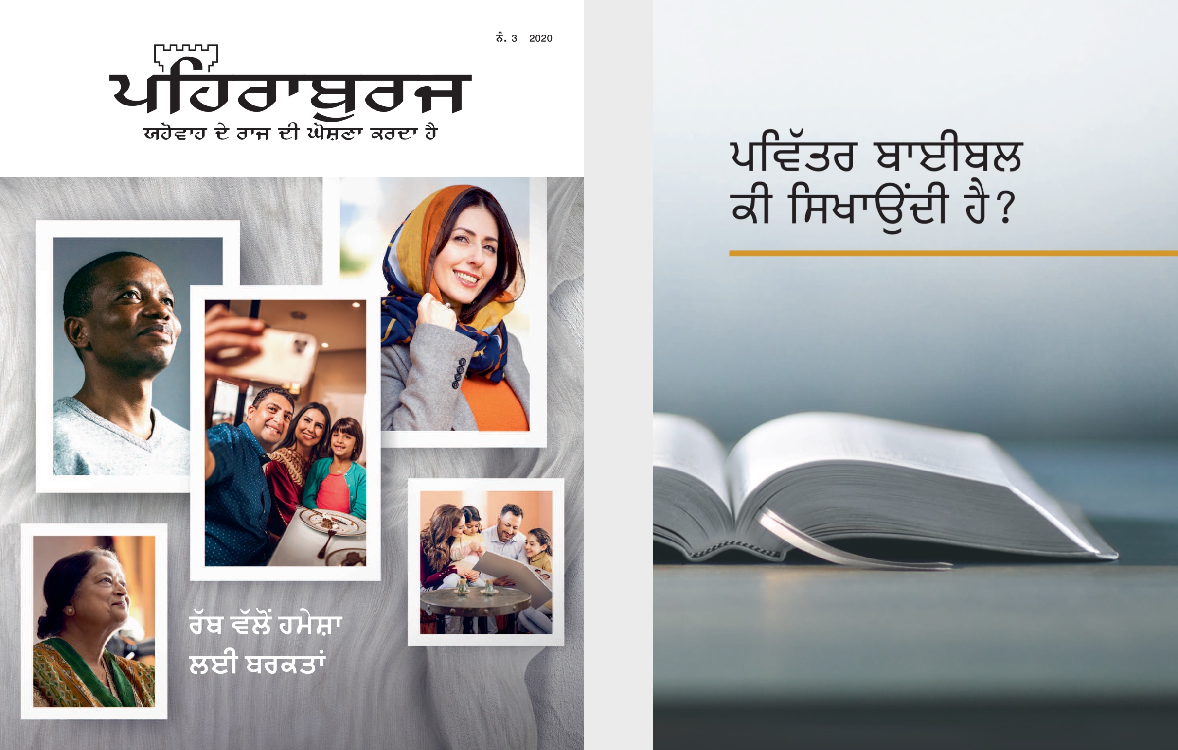 ‘ਪਵਿੱਤਰ ਬਾਈਬਲ ਕੀ ਸਿਖਾਉਂਦੀ ਹੈ?’ ਕਿਤਾਬ ਅਤੇ ‘ਪਹਿਰਾਬੁਰਜ’ ਨੰ. 3 2020.