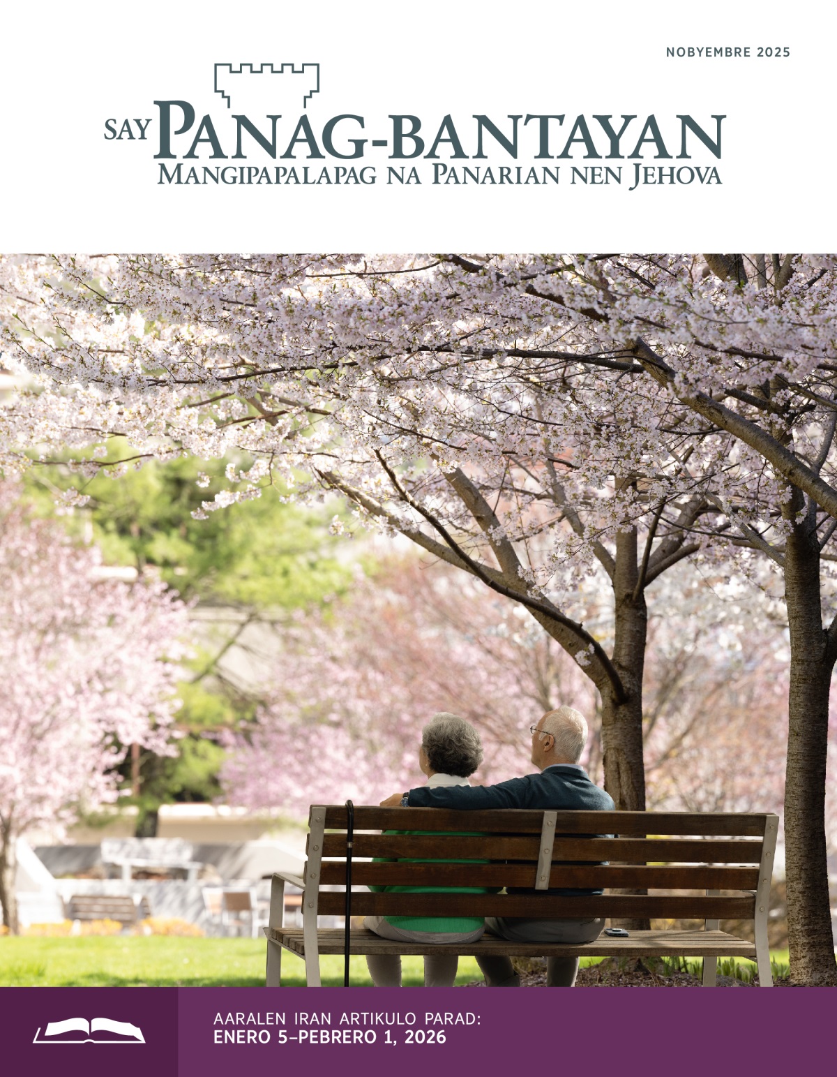 Maedad lan sanasawa ya akayurong diad park tan sankanengneng da iray cherry blossoms.
