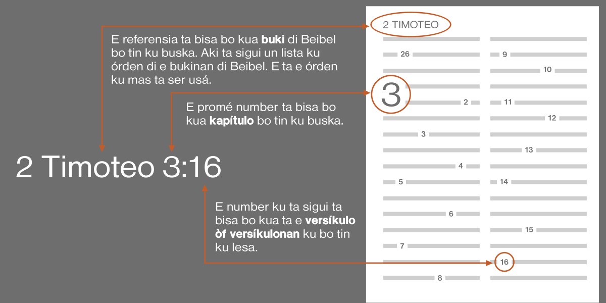 Pa haña un teksto di Beibel, por ehèmpel, 2 Timoteo 3:16, bo tin ku buska e buki di Beibel promé, esta, 2 Timoteo. (Wak e lista akí bou pa haña e órden mas komun di e bukinan di Beibel.) E promé number ta indiká kua kapítulo bo tin ku bai na dje, por ehèmpel, kapítulo 3. I e siguiente numbernan ta indiká kua versíkulo òf versíkulonan bo mester lesa, por ehèmpel versíkulo 16.