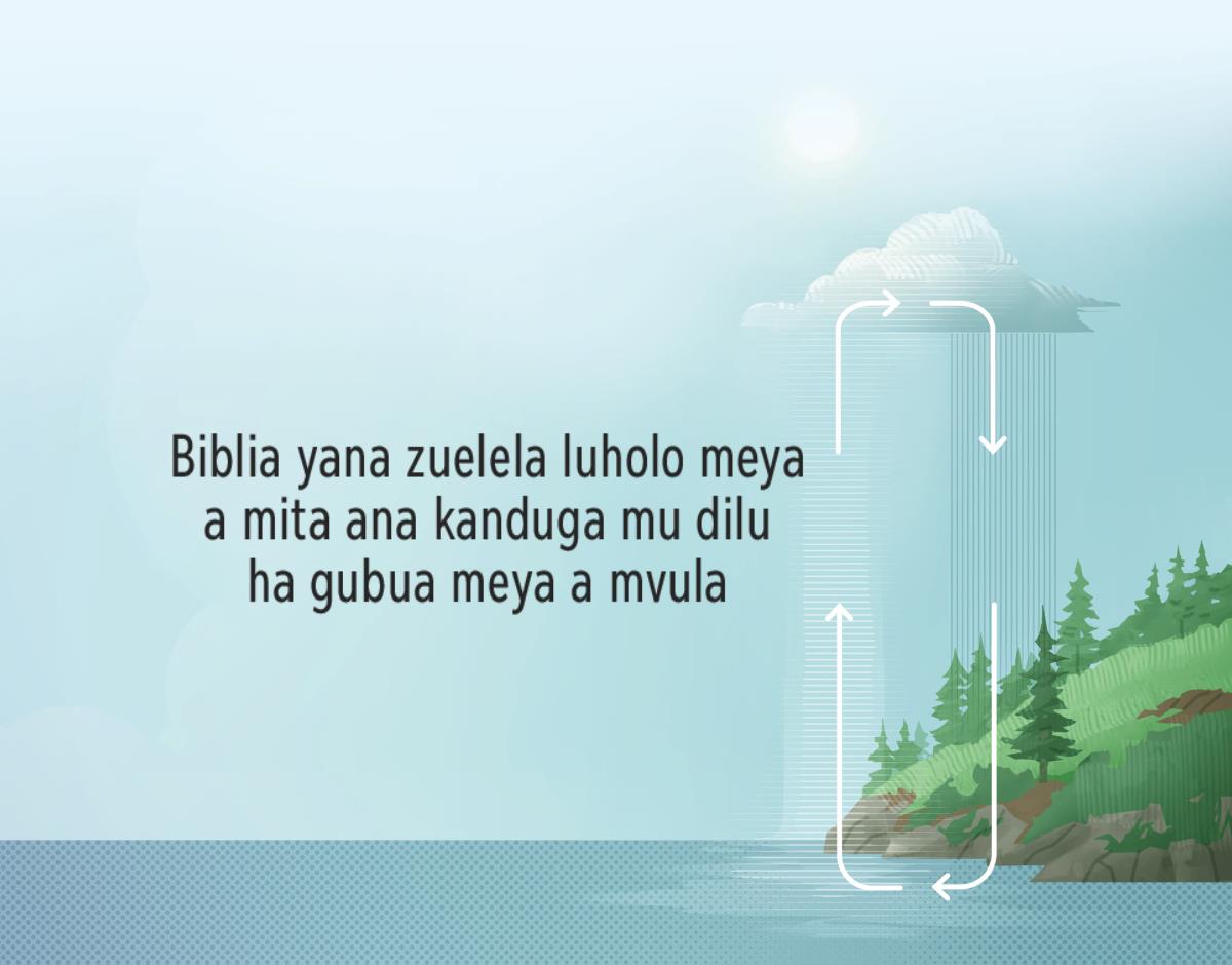 Biblia yana zuelela luholo meya a mita ana kanduga mu dilu ha gubua meya a mvula. Shema idi mumonesa luholo meya ana katuga ha mavu ha gukanduga mu dilu.