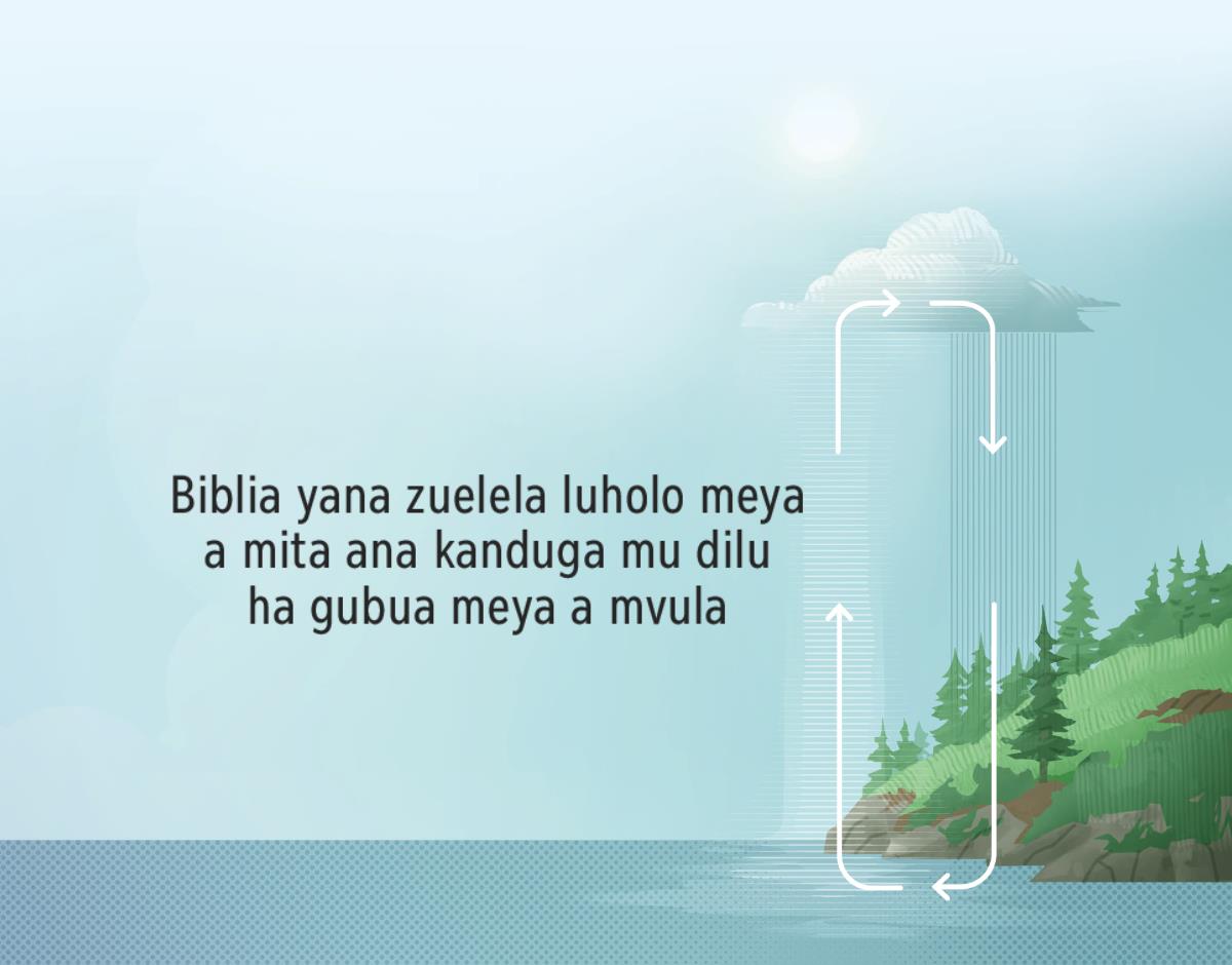 Biblia yana zuelela luholo meya a mita ana kanduga mu dilu ha gubua meya a mvula. Shema idi mumonesa luholo meya ana katuga ha mavu ha gukanduga mu dilu.