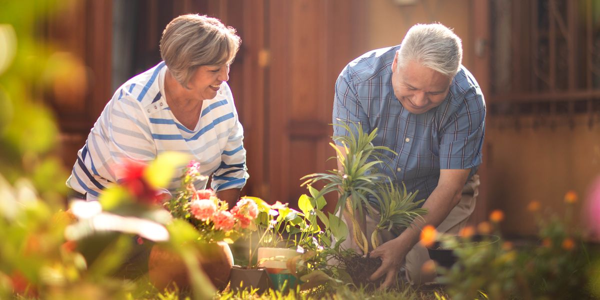 Wanfala olo couple hapi for duim gardening tugeta.
