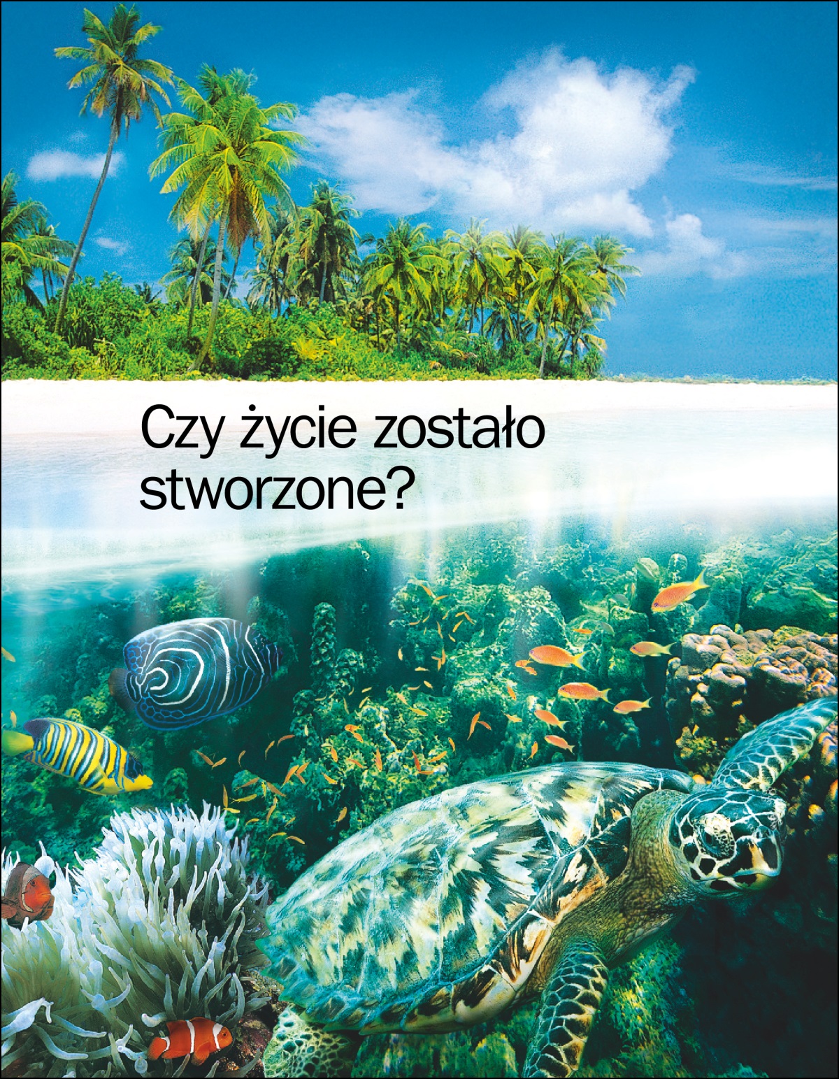Broszura „Czy życie zostało stworzone?”