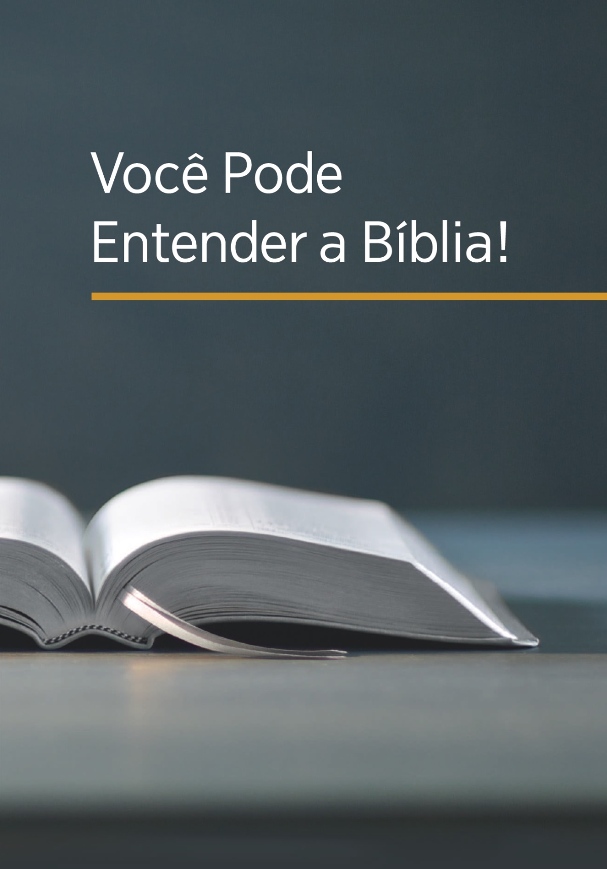 Livru ‘O Que Nos Ensina a Bíblia?’