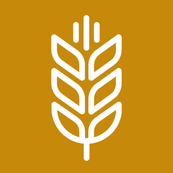 Apply Yourself to the Field Ministry.