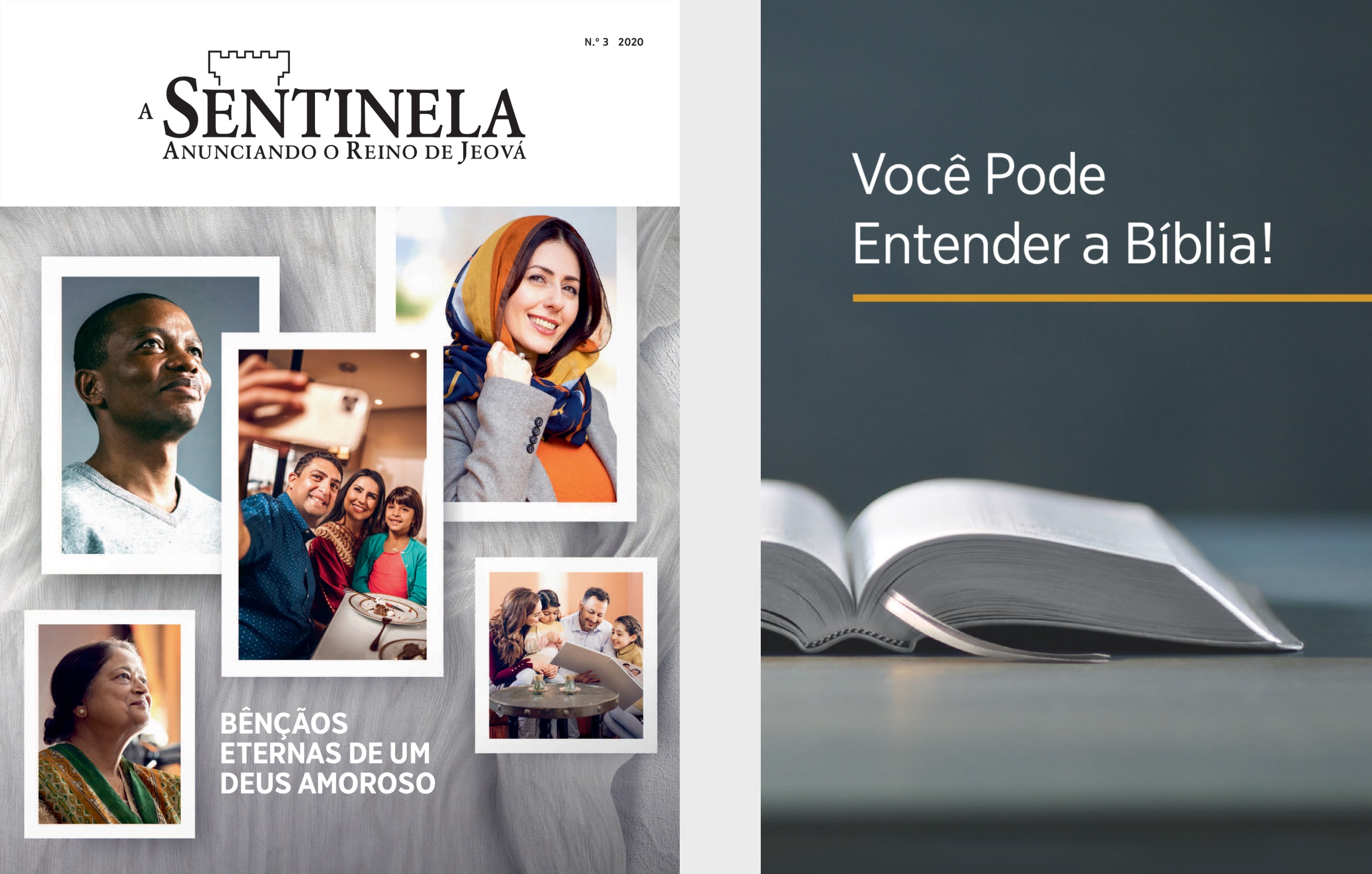 O livro ‘Você Pode Entender a Bíblia!’ e ‘A Sentinela’, número 3 de 2020.