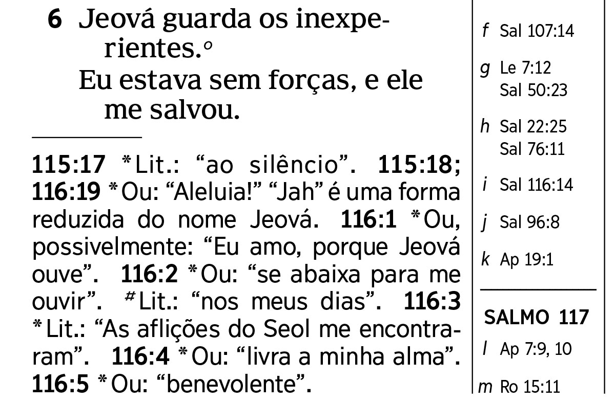 Foto na página 6