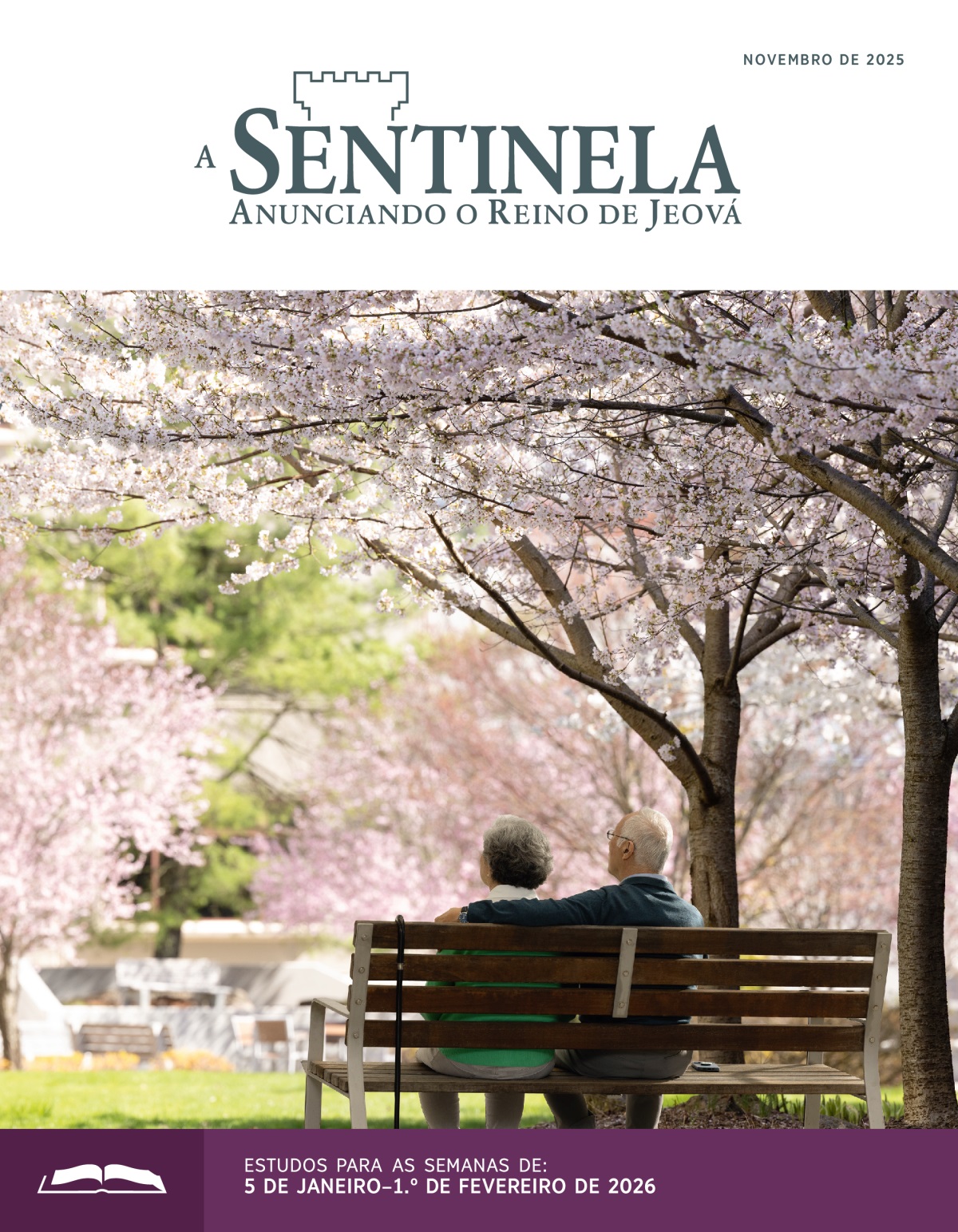 Um casal de idosos, em um banco ao ar livre, numa área cercada de cerejeiras japonesas cheias de flores.