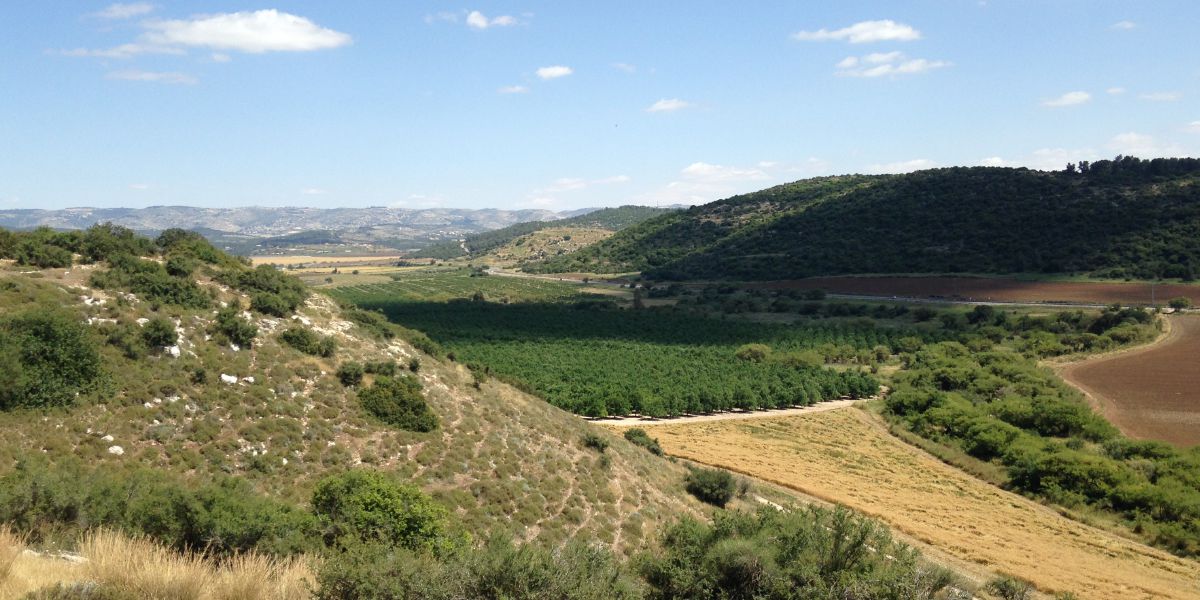 El valle de Elah